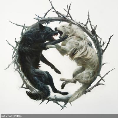 Stellar Circuits - Phantom : : Phoenix (2025)