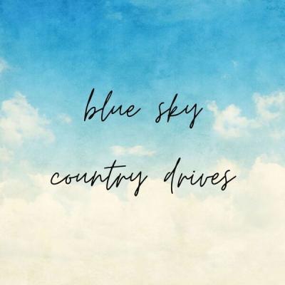 Various Artists - blue sky country drives (2025) [FLAC 16B-44.1kHz]