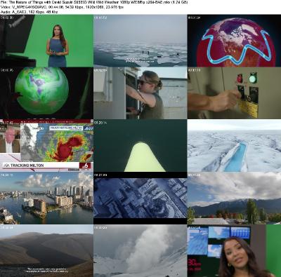 [Image: _079dae664f7e67ce9b474e8153bf1b17.jpeg]