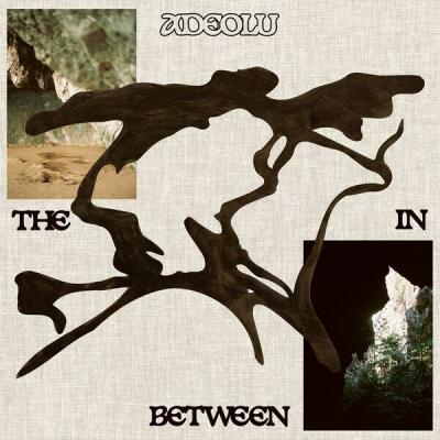 Adéolu - The In Between (2025) [FLAC 24B-96kHz]