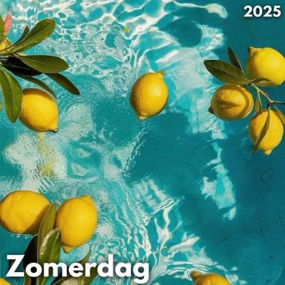 Various Artists - Zomerdag 2025 (2025) [FLAC 16B-44.1kHz]