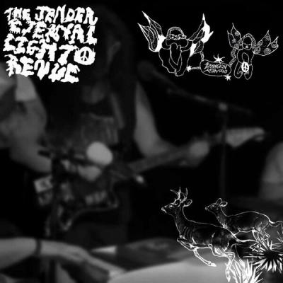 The Jender Eternal Light Revue - Banned in Arkansas (2024) [FLAC 24B-44.1kHz]