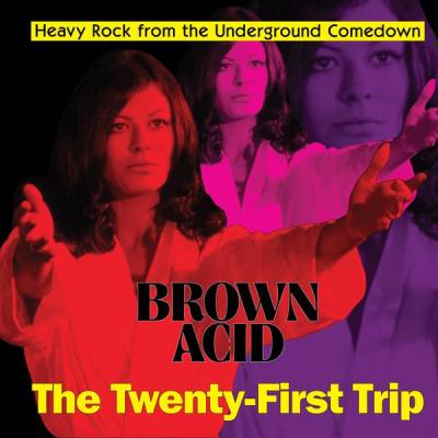 Various Artists - Brown Acid - The Twenty First Trip (2025) [FLAC 24B-48kHz]