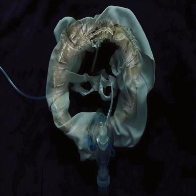 Ship Sket - InitiatriX (2025) [FLAC 24B-44.1kHz]