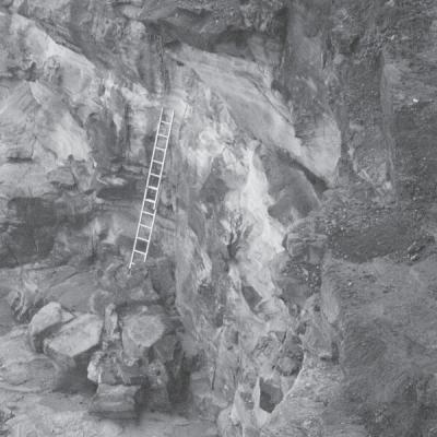 Arve Henriksen - Haihara (2025) [FLAC 24B-44.1kHz]