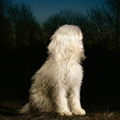 Juana Molina - DOGA (2025) [FLAC 24B-48kHz]