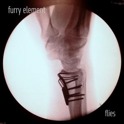 Furry Element - Flies (2025) [FLAC 24B-48kHz]
