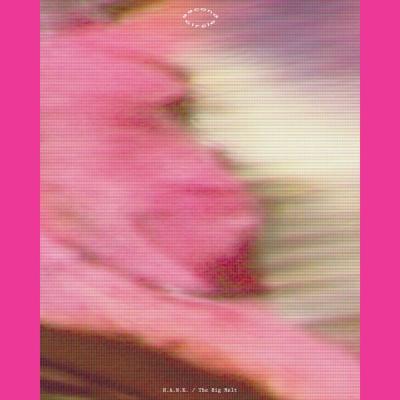 H.A.N.K - The Big Melt (2024) [FLAC 24B-44.1kHz]