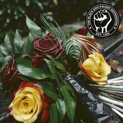 The Black Dog - Sleep Deprivation 05 The Slow Cancellation Of The Future (2024) [FLAC 16B-44.1kHz]