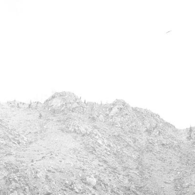 Fortune Child - She Was a Dove (2025) [FLAC 24B-48kHz]