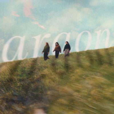 Sian - araon (2025) [FLAC 16B-44.1kHz]