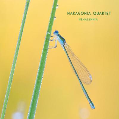 Naragonia Quartet - Nehalennia (2025) [FLAC 24B-48kHz]