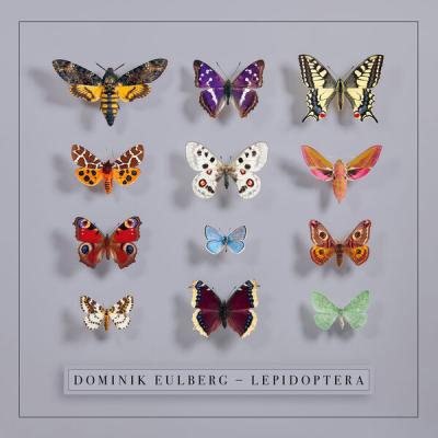 Dominik Eulberg - Lepidoptera (2025) [FLAC 24B-48kHz]