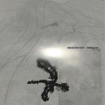 Hasvat Informant - Pluripotent XII (2025) [FLAC 24B-44.1kHz]