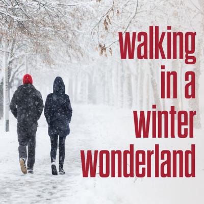 Various Artists - walking in a winter wonderland (2025) [FLAC 16B-44.1kHz]