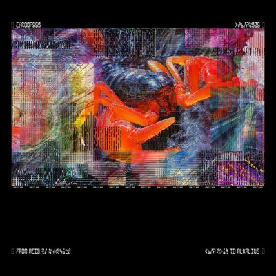 Bicep - CHROMA 000 (2025) [FLAC 24B-44.1kHz]