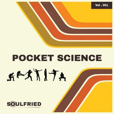 SoulFried - Pocket Science (2025) [FLAC 24B-48kHz]