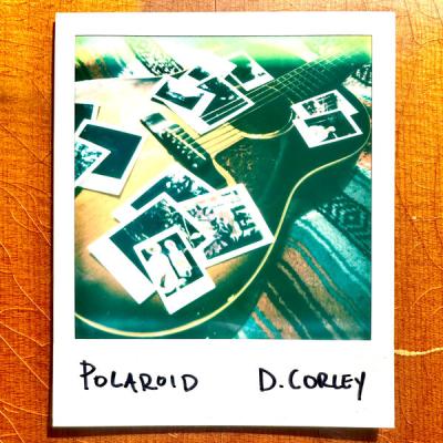 Davis Corley - Polaroid (2025) [FLAC 24B-48kHz]