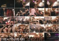 Xconfessions - Codey Steele, Dante Colle, Maya Woulfe, Alexis Tae, Dillon Diaz, Vanessa Vega, Karla Lane, Freya Parker: Scorpio Season - An orgy in the rain (FullHD/1080p/1.36 GB)