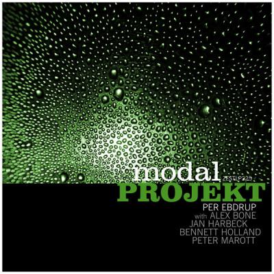 modal PROJEKT - Electronic Organic (2021) [FLAC 24B-44.1kHz]
