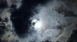 Кровососы: Освобождение Кеньятты (2024)