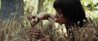   / Fremmed: Det f&#248;rste opg&#248;r (2025/WEB-DL/WEB-DLRip)