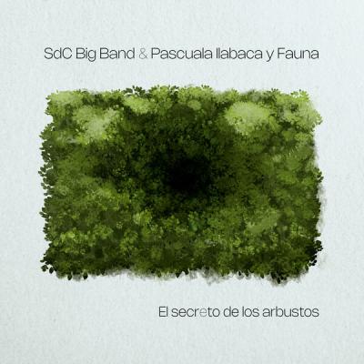 Pascuala Ilabaca y Fauna - El secreto de los arbustos (2025) [FLAC 24B-48kHz]