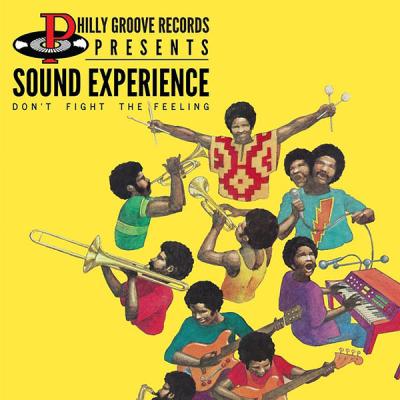 Sound Experience - Philly Groove Records Presents Don't Fight The Feeling (2014) [FLAC 16B-44.1kHz]