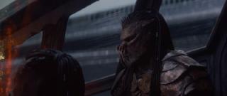 :   / Predator: Badlands (2025/WEB-DL/WEB-DLRip)