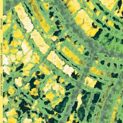 Infinity Machine - Angelic Ascent (2025) [FLAC 24B-96kHz]