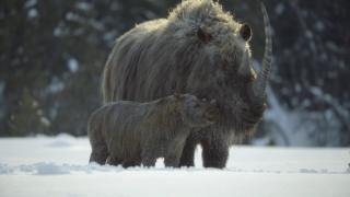   / Prehistoric Planet (3 /2025/WEB-DL)