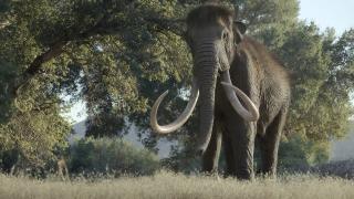   / Prehistoric Planet (3 /2025/WEB-DL)