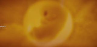 Чайный гриб (2025)