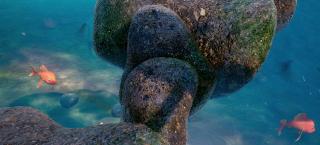 Книга джунглей и слонёнок Бимбо (2024)