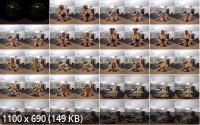 VRBangers - The Wrong House To Rob : Bridgette B (SD/960p/2.09 GB)