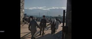 Палестина 36 (2025)