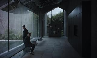 Подняться на холм (2024)