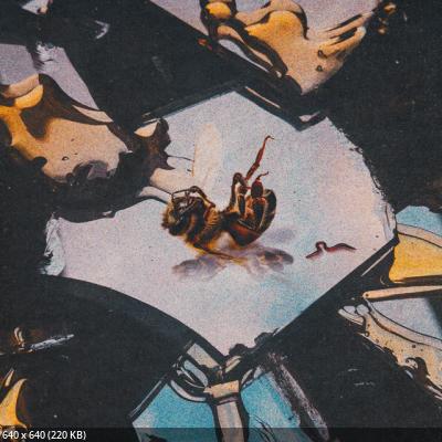 Stain the Canvas - Honey Rot (2025)