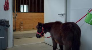 Королевская рождественская сказка (2025)