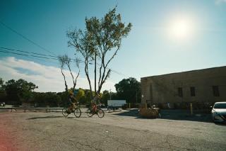 ������� / Bugonia (2025/BDRip/HDRip)