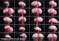 Onlyfans - College Girl Rides MONSTER COCK And Gets FILLED With CUM TentaBimbo (FullHD/1080p/284 MB)