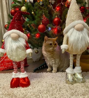 ��� �������� - ����������� ������ ! ( ���. ����� 2.)