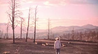 Из пепла (Перестройка) (2025)