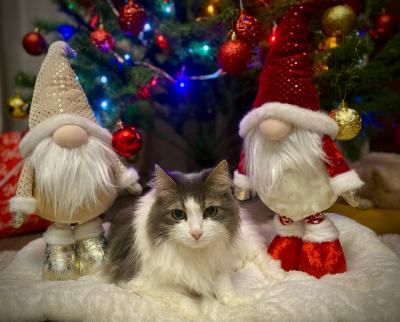 ��� �������� - ����������� ������ ! ( ���. ����� 2.)