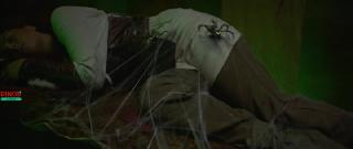 Сказки тёмного леса. Ворожея (2025)