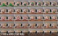 VRHush - Lisey Sweet  Sweet Saint Pat s Day (2K/1080p/3.33 GB)