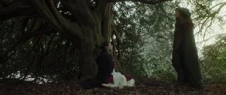 ����� ������ / Warlord (2025/BDRip/HDRip)