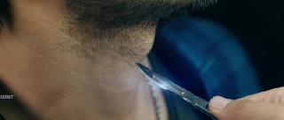 Молниеносный зверь (2024)