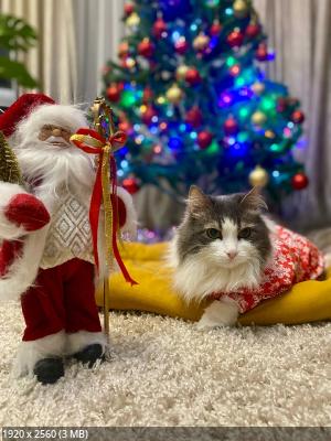 ��� �������� - ����������� ������ ! ( ���. ����� 2.)