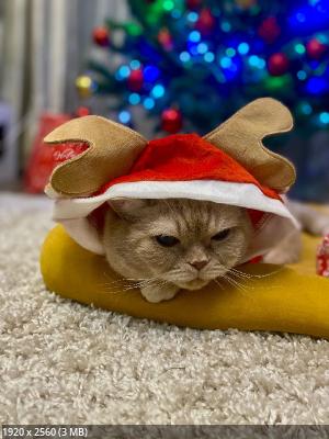 ��� �������� - ����������� ������ ! ( ���. ����� 2.)